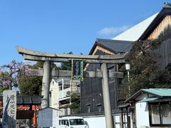 -大起水产回转寿司(道顿堀店)