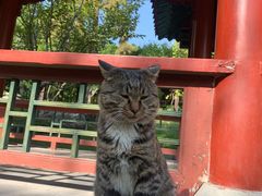 -晋祠公园