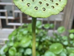 -锦溪古镇