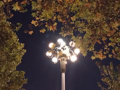 -西清公园