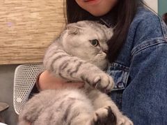 -拾壹cafe·工作室