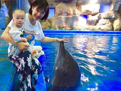 -华夏文旅海洋公园