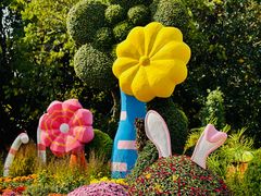 -上海共青森林公园