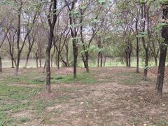 -广东花都湖国家湿地公园