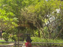 -南宁荔园维景国际酒店·荔园中餐厅