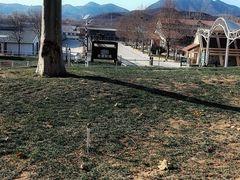 -君乐宝优致牧场