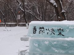 -长春市南湖公园