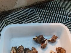 -沿海渔家院海鲜饺子·东北菜(止锚湾店)