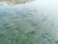 -太湖湖滨国家湿地公园-停车场