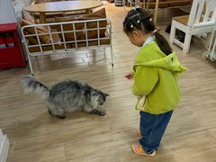 -李小姐の猫咖啡馆(五角场店)