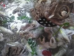 -清真·馬坡二旦烧烤(人生一串拍摄店)