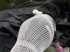 -美联众合动物医院(唯恩分院)