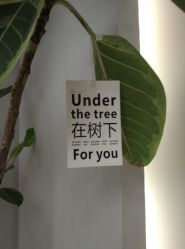 -颜蕾医美·黄金微针·水光·玻尿酸·超声炮·抗衰中心