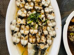 -亮河湾山庄