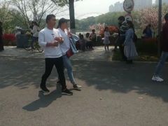 -昆山城市生态森林公园