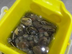 -红树林天天赶海