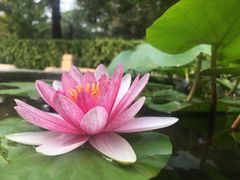 -北京石刻艺术博物馆