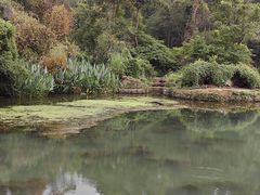 -花溪公园