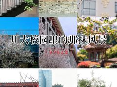 -四川大学(望江校区)