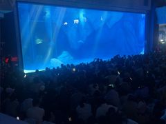 -上海海昌海洋公园-冰山北极馆