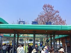 -秦皇岛乐岛海洋王国