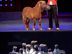 -珠海横琴长隆《卡卡虎奇遇记》