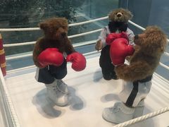 -济州岛泰迪熊博物馆