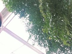 -西宁市人民公园(城西区)