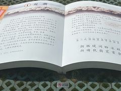 -观潮胜地公园