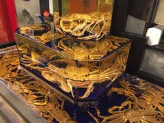 -蟹道乐(道顿堀本店)