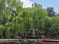 -玲珑塔公园