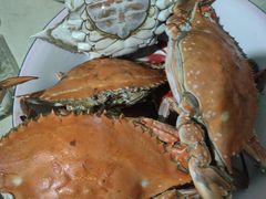 -妈妈菜舟山海鲜(定海古城店)