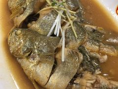 家焖黄花鱼-添福来墨鱼饺子 · 海鲜东北菜(泡崖店)