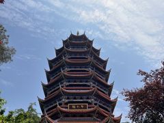 -铁山坪森林公园