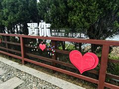 -燕儿岛山公园