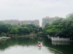 -公园茶楼粤式点心