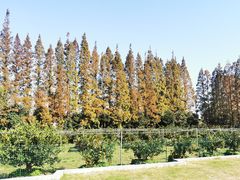 -前小桔亲子创意农场·草莓采摘·露营烧烤