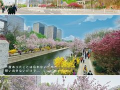 -海棠花溪(元大都城垣遗址公园)