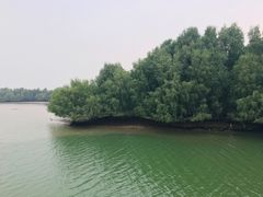 -深圳湾公园(南山区)