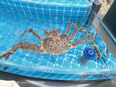 -中国舟山国际水产城