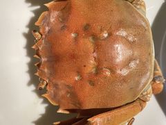 -蟹榭·本帮江浙菜·蟹宴(虹桥高岛屋百货店)