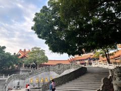 -广东圆玄道观
