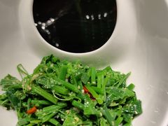 炝拌龙须菜-東舍食唐精品陕菜馆