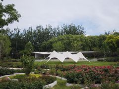 -大望京公园