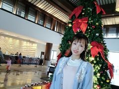 -观海酒廊(惠州金海湾喜来登度假酒店)