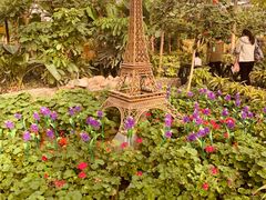 -南宫五洲植物乐园