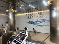 -重庆市奥林匹克体育中心-游泳跳水馆