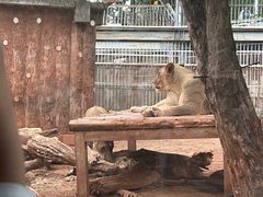 -昆明动物园