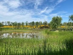 -潮皇食府(北京店)
