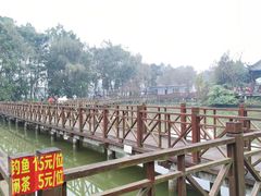 -夏河溪乡野公园